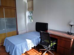 Pebble Lane (D15), Terrace #608678161